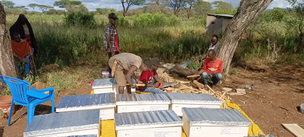Hadza community members preparing modern beehives with Savannah Vision Tanzania during a sustainable beekeeping project in Domanga, northern Tanzania.