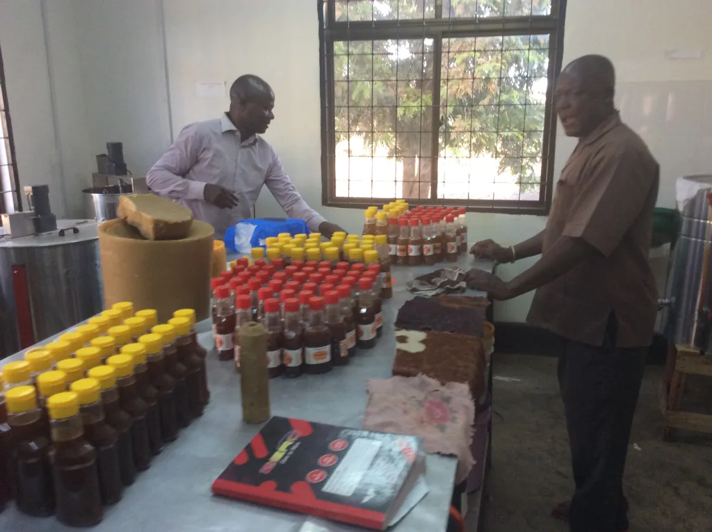 Processed honey displayed at the Nashipay Honey Processing Factory in Makuyuni, where honey was selling for approximately TZS 15,000 per kilogram.